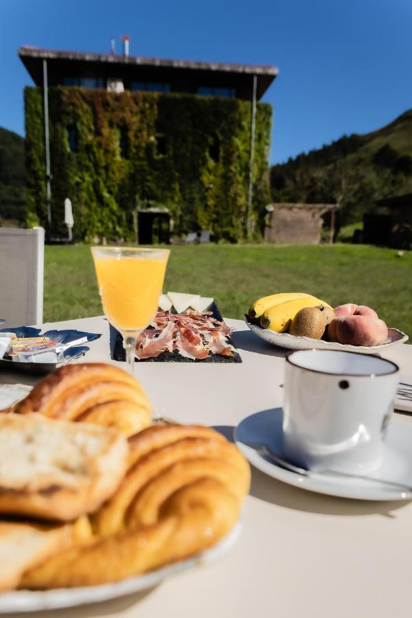 Fagoaga Dorretxea Bed and Breakfast Ergoyen Exteriör bild